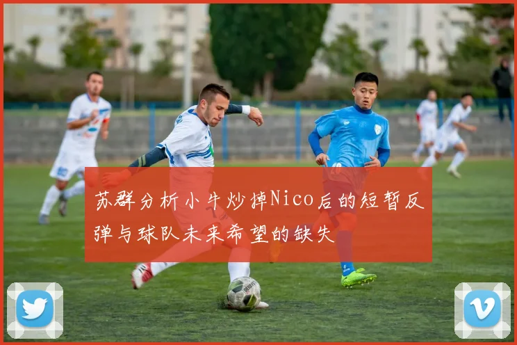苏群分析小牛炒掉Nico后的短暂反弹与球队未来希望的缺失