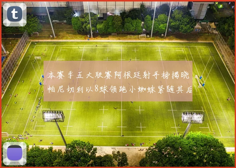 本赛季五大联赛阿根廷射手榜揭晓帕尼切利以8球领跑小蜘蛛紧随其后