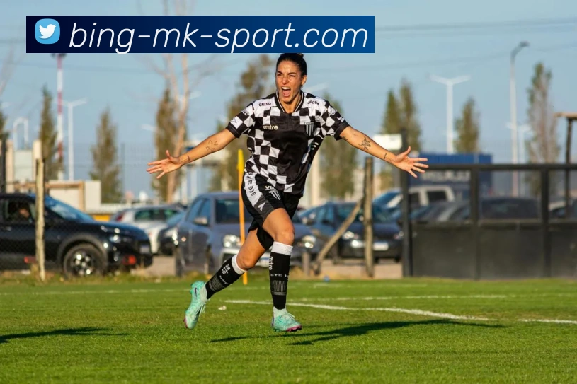 MK体育平台生态图