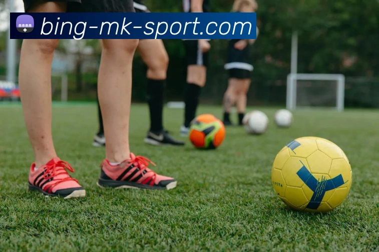 MK体育APP 封面图